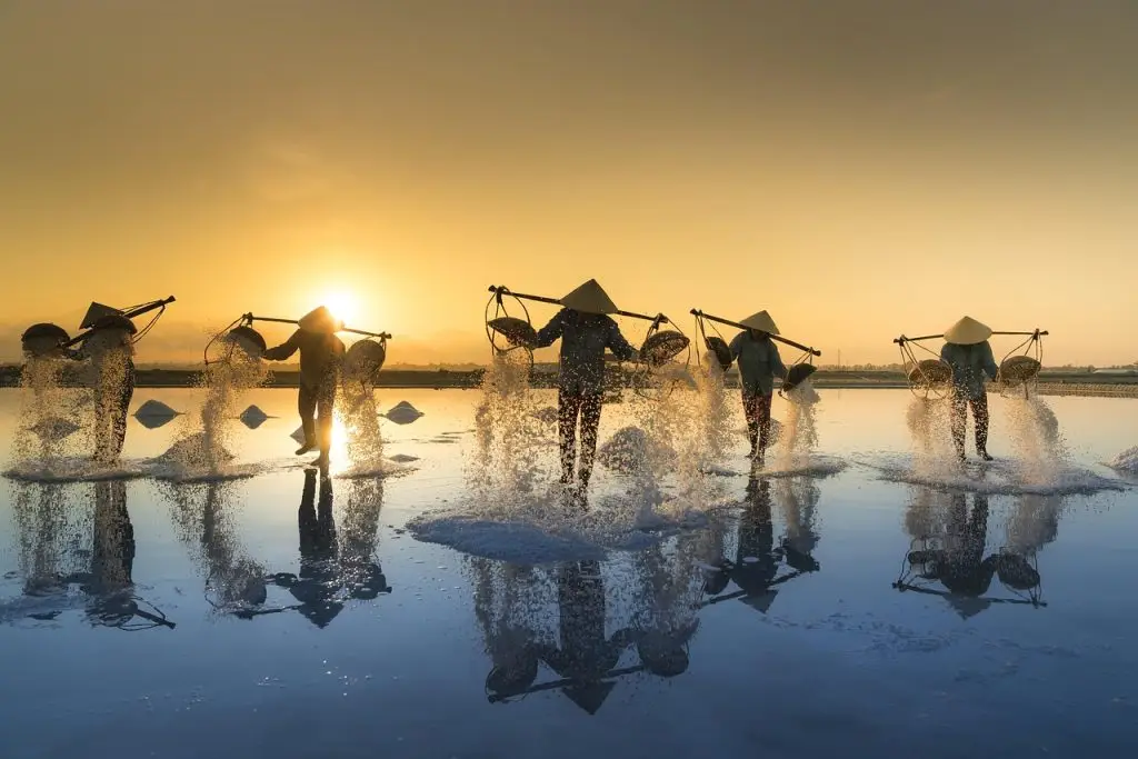 salt harvesting, vietnam, water, salt, work, people, reflection, hon khoi, salt field, salina, tropical, agriculture, asia, harvest, nature, asian, hats, traditional